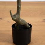 Potted plant with a unique trunk shape on a wooden surface