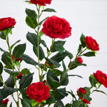 Red artificial rose stems with green leaves, shown against a white paneled background.