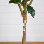 An artificial potted tree trunk with faux branches, green leaves, and two plastic support sleeves with red arrows, shown against a white paneled wall.