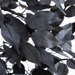 Black artificial ficus tree for spooky Halloween home decorations.