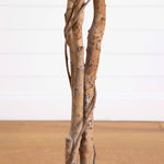 Five-foot Halloween tree with black foliage and brown natural-style trunk.