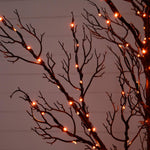 Tree branches with string lights against a dark sky
