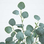 Eucalyptus branch with small warm white string lights, photographed against a clean white background.