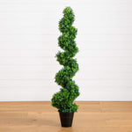 Boxwood Spiral Topiary