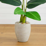 Potted plant with green leaves in a textured gray pot on a wooden floor.