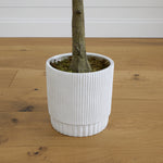 White ribbed pot with a tree on a wooden floor