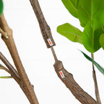 Faux Ficus Floor Tree