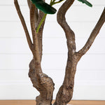 White Planter Fiddle Tree