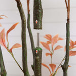 Artificial plant with green stems and orange leaves against a white background