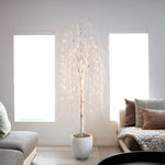 White Bark Decorative Tree