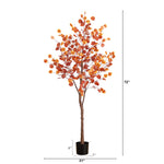 Lighted Fall Eucalyptus Tree