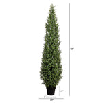 Tall artificial boxwood tree in a black plastic pot with height and width dimension markings on a white background.