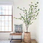 Potted plant in a woven basket next to a cushioned stool by a window