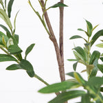 Three Trunk Faux Olive Tree