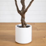 A potted tree trunk in a matte white cylindrical planter, set on a light wood floor against a white paneled wall.
