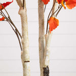 Autumn Birch Fall Tree