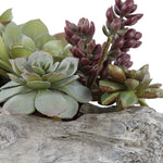 Uttermost Charita Succulents – 30×10×10 in Indoor Faux Green and Burgundy Succulent Arrangement in Concrete Planter