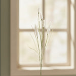 Foxtail Spray Set of 6 – Plastic Floral Sprays
