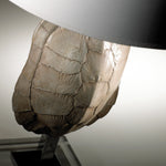Cyan Design 04105 Tortoise Shell Table Lamp