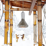 Cyan Design 08462 Grayling Pendant