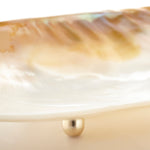 Cyan Design 09835 Large Abalone Tray