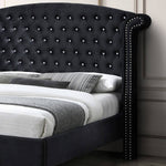 Better Home Products CLEO-50-BLK Cleopatra Crystal Tufted Velvet Platform Queen Bed In Black