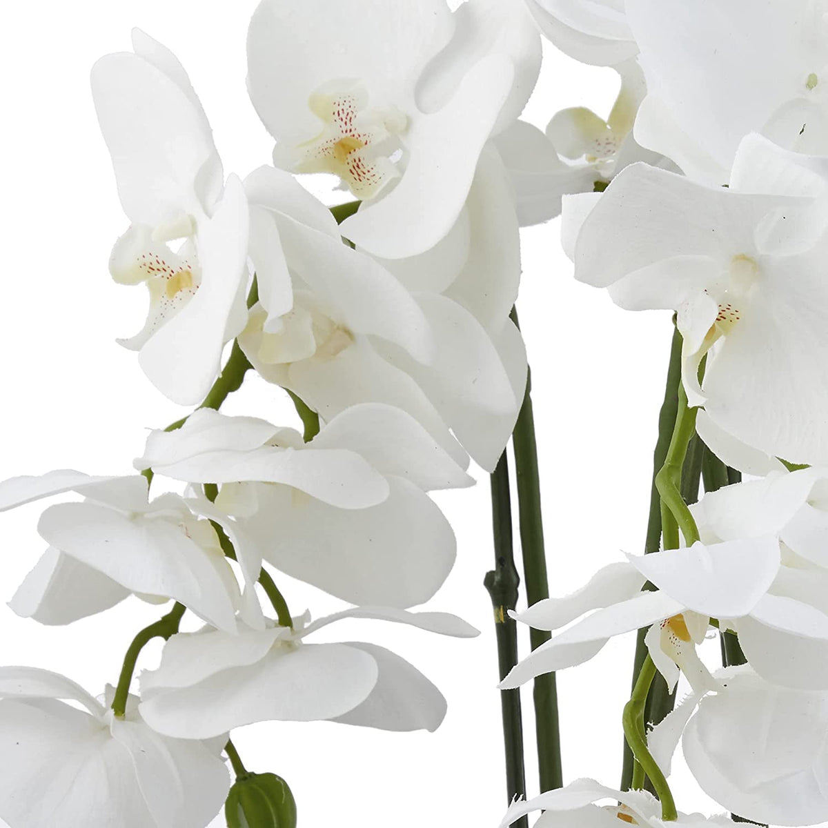 Nearly Natural Triple Phalaenopsis Orchid In Glass Vase - Macy's