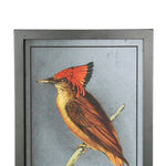 Benzara Rectangular Wooden Wall Art with Cardinal Birds, Assortment of 4, Gray