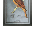 Benzara Rectangular Wooden Wall Art with Cardinal Birds, Assortment of 4, Gray