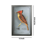 Benzara Rectangular Wooden Wall Art with Cardinal Birds, Assortment of 4, Gray