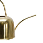 Benzara 11 Inches Dome Shape Metal Frame Watering Can with Handle, Gold