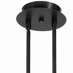 Benzara 3 Light 120V Metal Track Light Fixture with Glass Shade, Black and Red