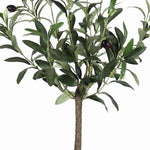 Benzara Modern Style Lifelike Faux Olive Tree in Plastic Pot, Green and Black