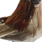 Benzara Feather Sitting Bird Accentdecor with Clips, Set of 3, Brown and Red