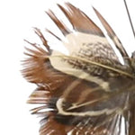 Benzara Feather Butterfly Accentdecor with Clips, Assortment of 12, Brown