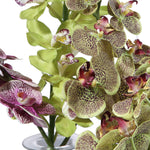Malin Orchid Bud Vases, Set/2