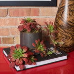 Vickerman FA170101 7