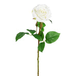 Vickerman FA191311 26
