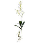 Vickerman FC180711 30
