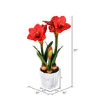 Vickerman FC190403 22