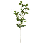 Vickerman FD170101-3 34
