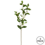 Vickerman FD170101-3 34