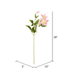 Vickerman FD180479 25
