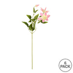 Vickerman FD180479 25