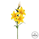 Vickerman FD190578 36