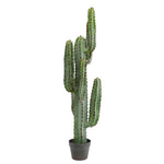 Vickerman FE180201 45