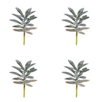 Vickerman FE191008 8