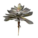 Vickerman FE191112 12.5