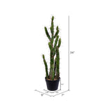 Vickerman FE191134 34