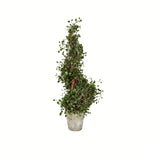 Vickerman FG190330 30